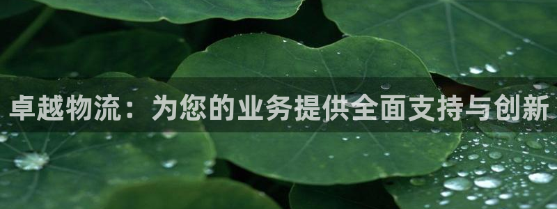 豪门国际返水怎么算的：卓越物流：为您