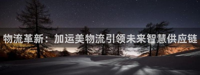 豪门国际注册链接：物流革新：加运美物
