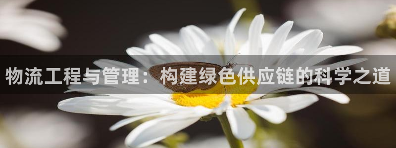 豪门国际官网下载链接：物流工程与管理