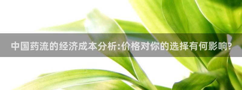 豪门国际模拟器下载