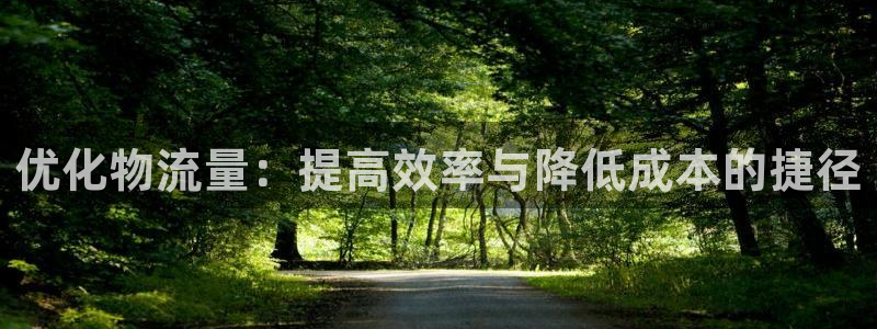 豪门国际加拿大怎么玩：优化物流量：提