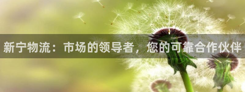 豪门国际充值不到账