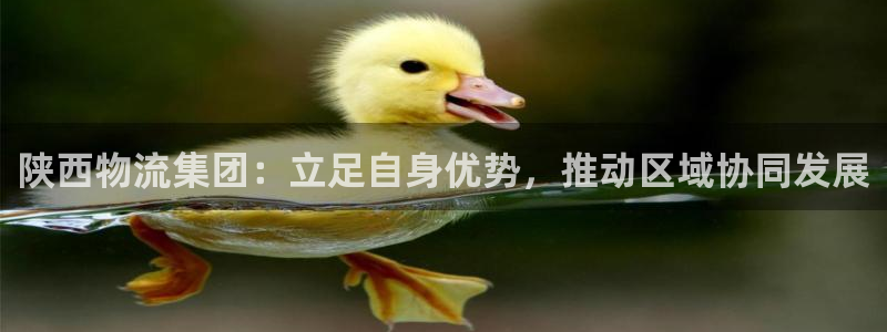 豪门国际注册链接教程：陕西物流集团：
