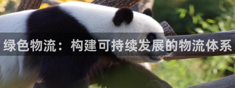 豪门国际流水怎么算