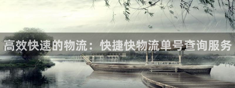 豪门国际防失联网址：高效快速的物流：