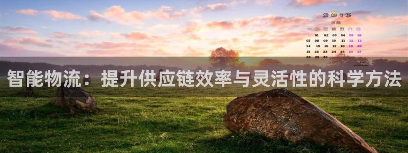 豪门国际系统自动保护：智能物流：提升