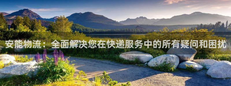 豪门国际机器人是什么软件：安能物流：