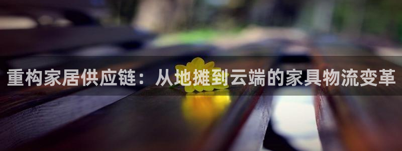 豪门国际头像：重构家居供应链：从地摊