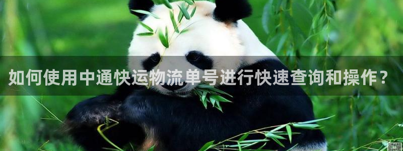 豪门国际赌博软件正规吗：如何使用中通