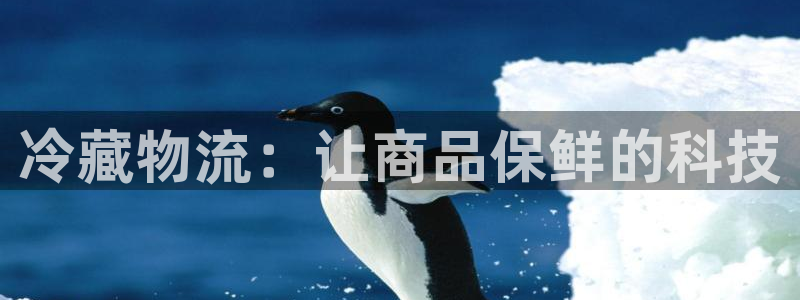 豪门国际自行车搞笑图片