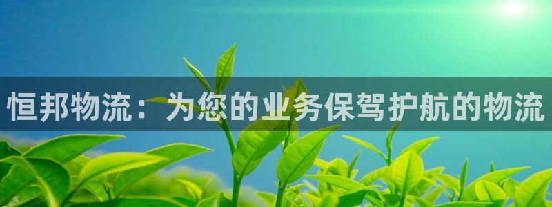 豪门国际退款教程：恒邦物流：为您的业务保驾护航的物流