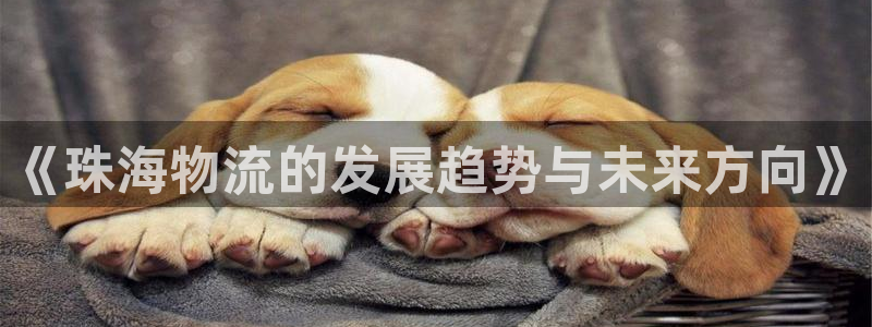 豪门国际取保:《珠海物流的发展趋势与