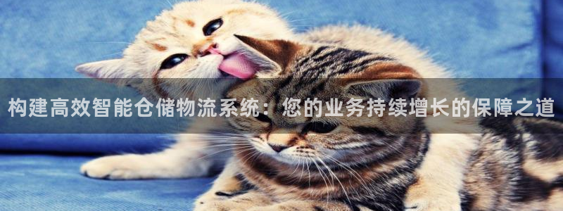 豪门国际推广链接是多少个:构建高效智