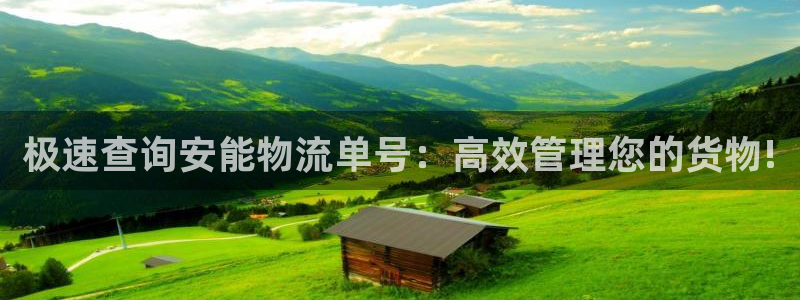 豪门国际客服一直不回消息怎么办：极速查询安能物流单号：高效管